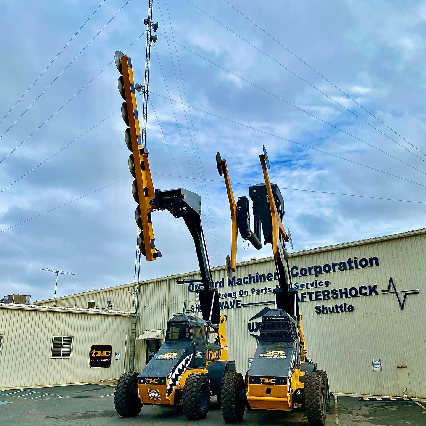 Hedgehog fully extended options