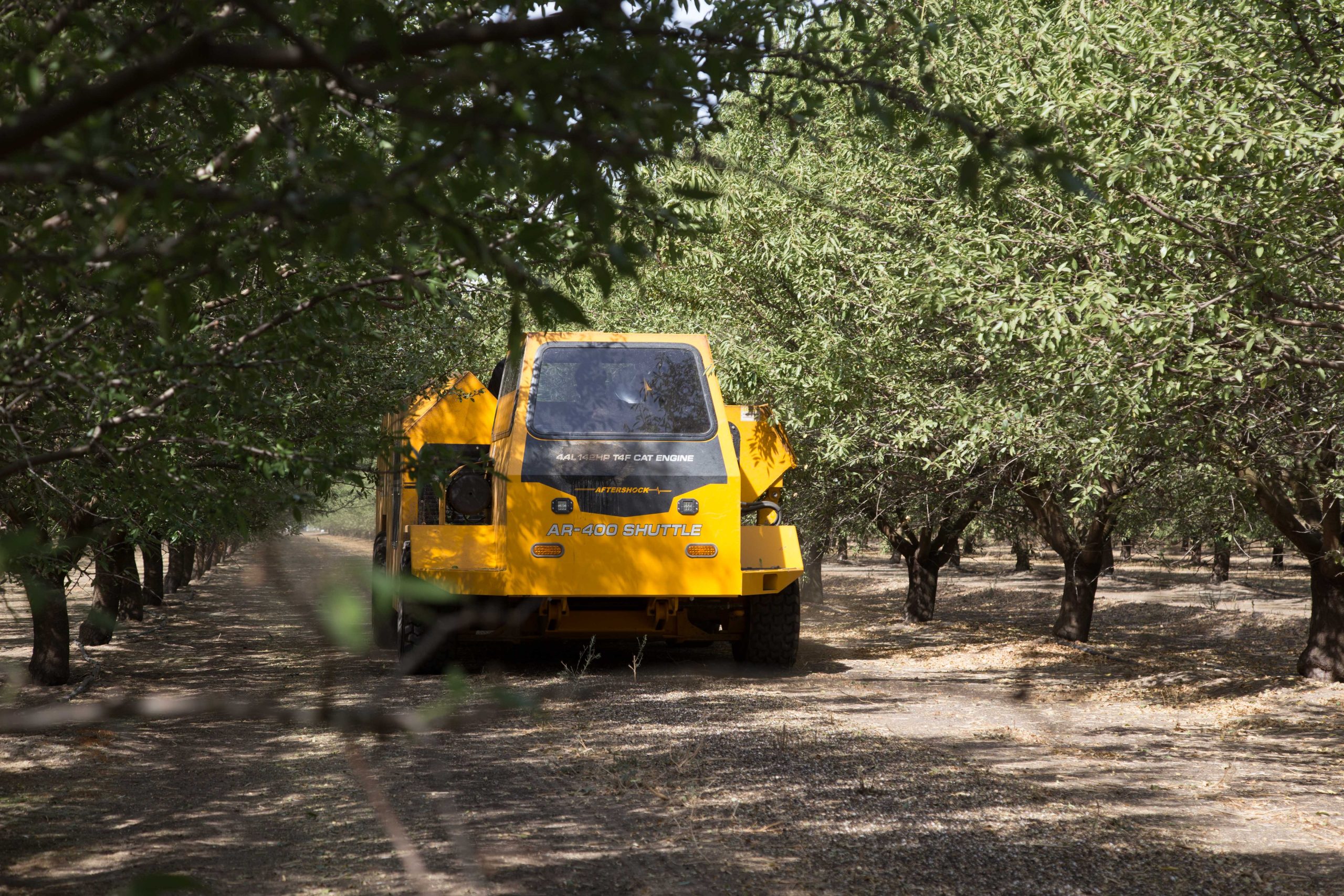 Aftershock AR400 Shuttle at work in Almond Orchard