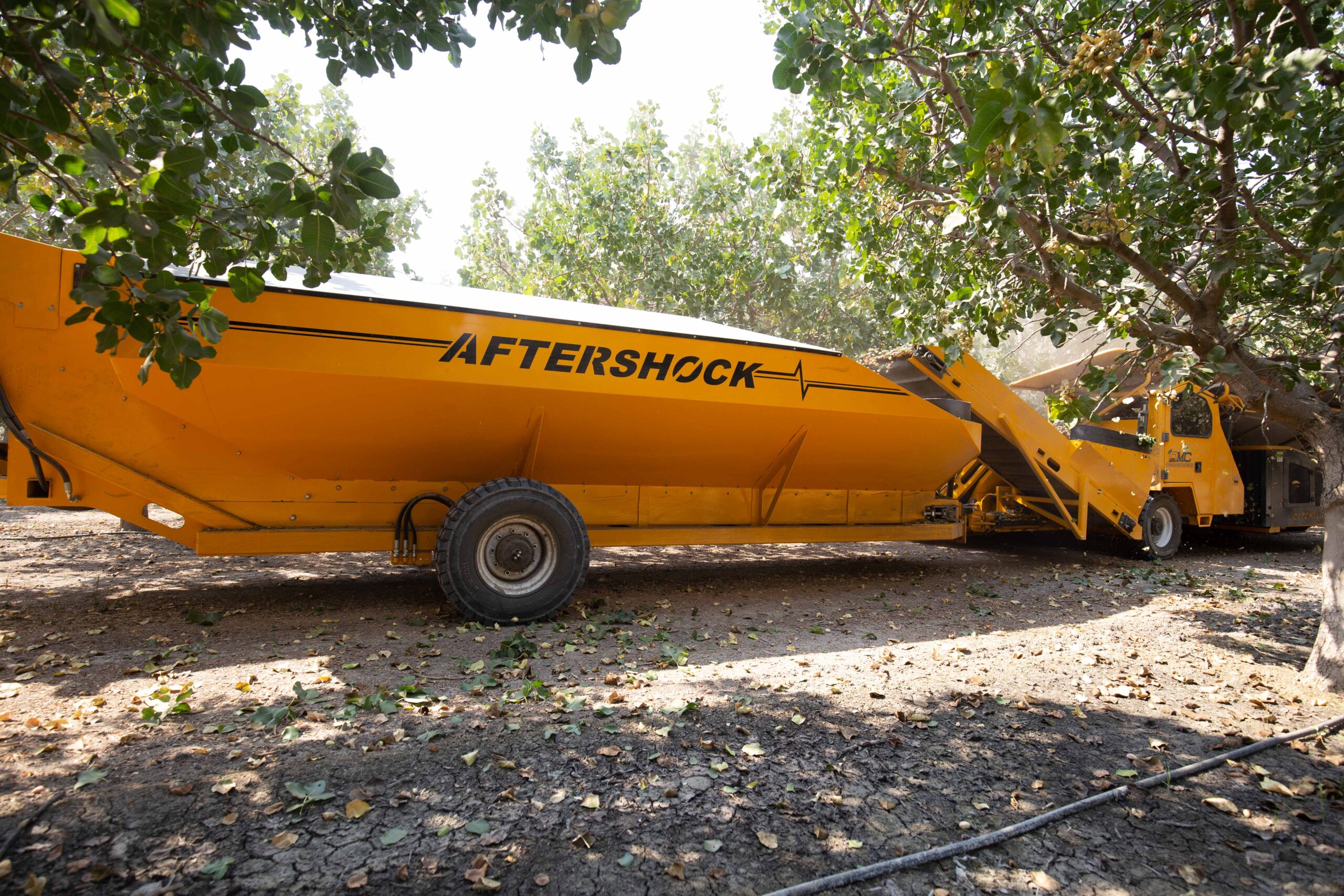 Aftershock CC-525 conveyor cart in orchard