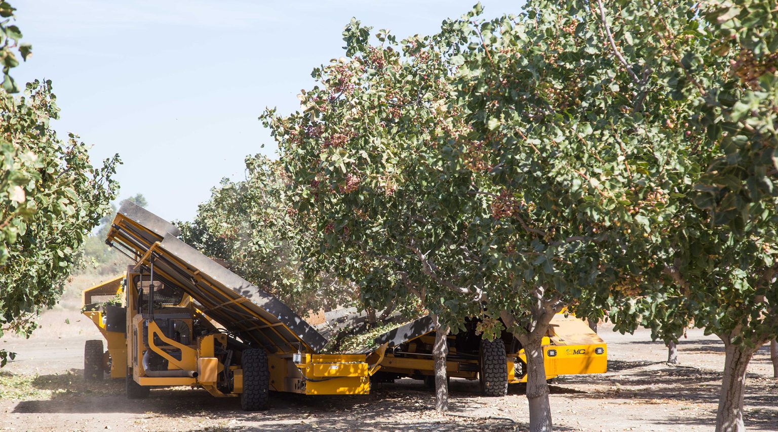 Catchall X - Orchard Machinery Corporation - Tree Nut and Fruit ...
