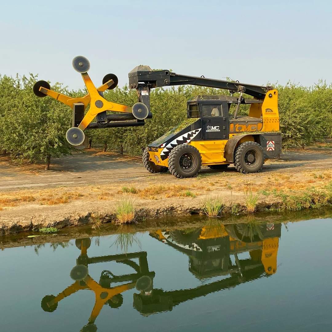 Hedgehog at work in orchard