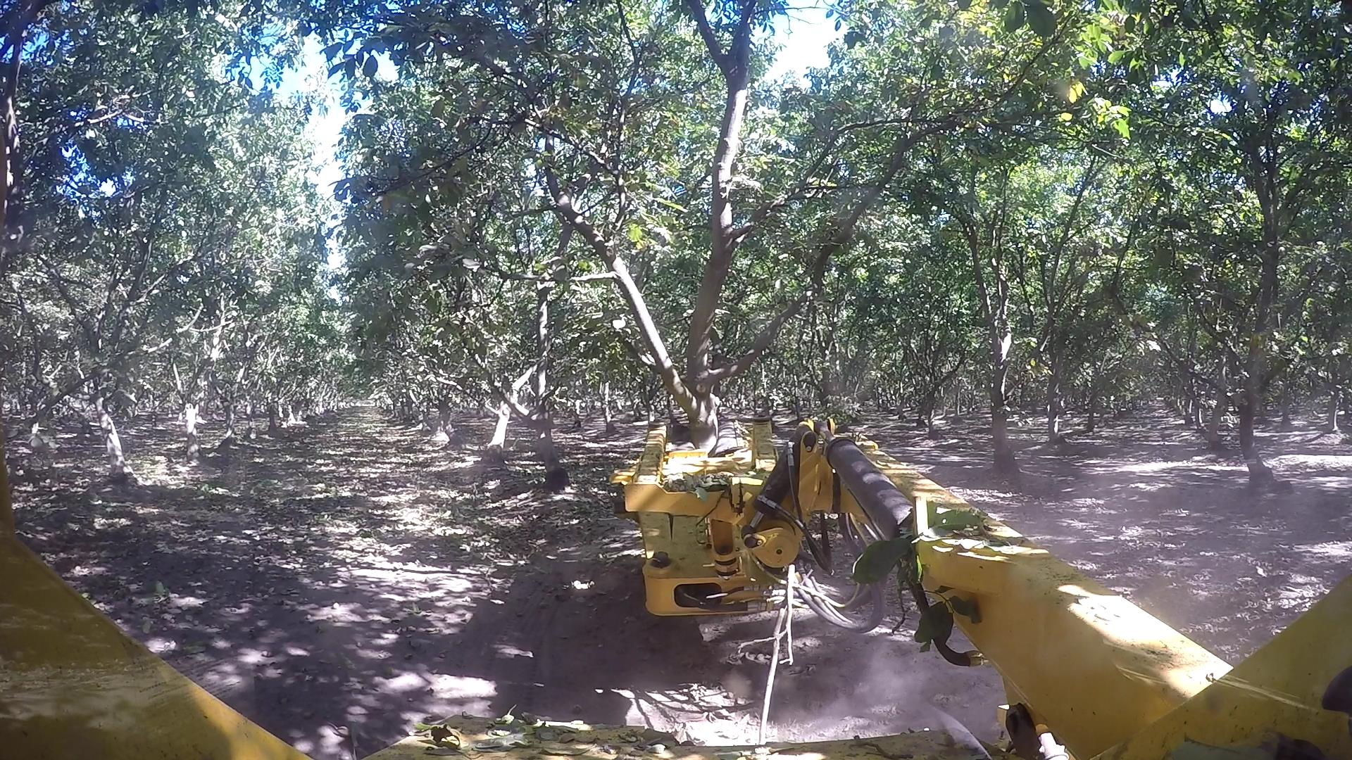 OMC Shockwave Monoboom at work in orchard