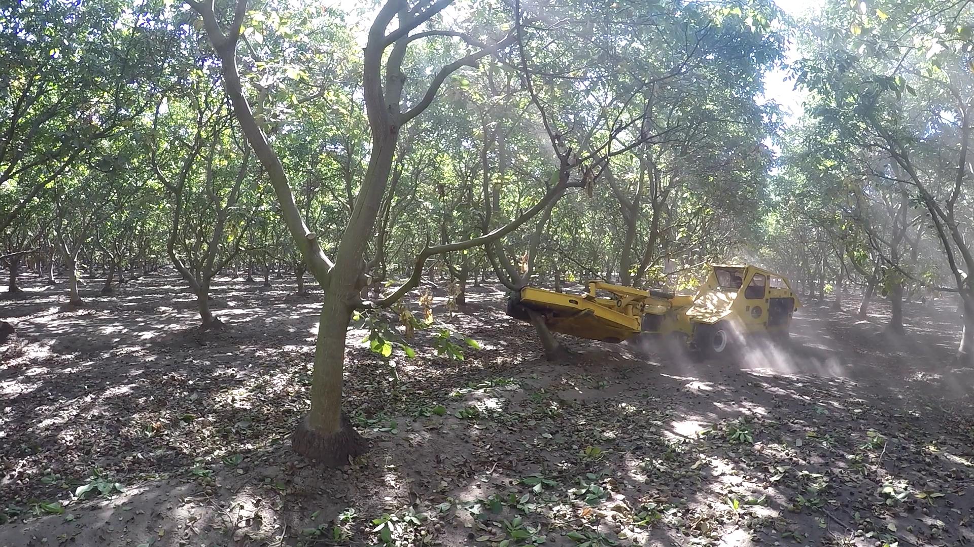 OMC Shockwave Monoboom at work in Orchard